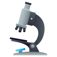 Mikroskobik Mantarlar